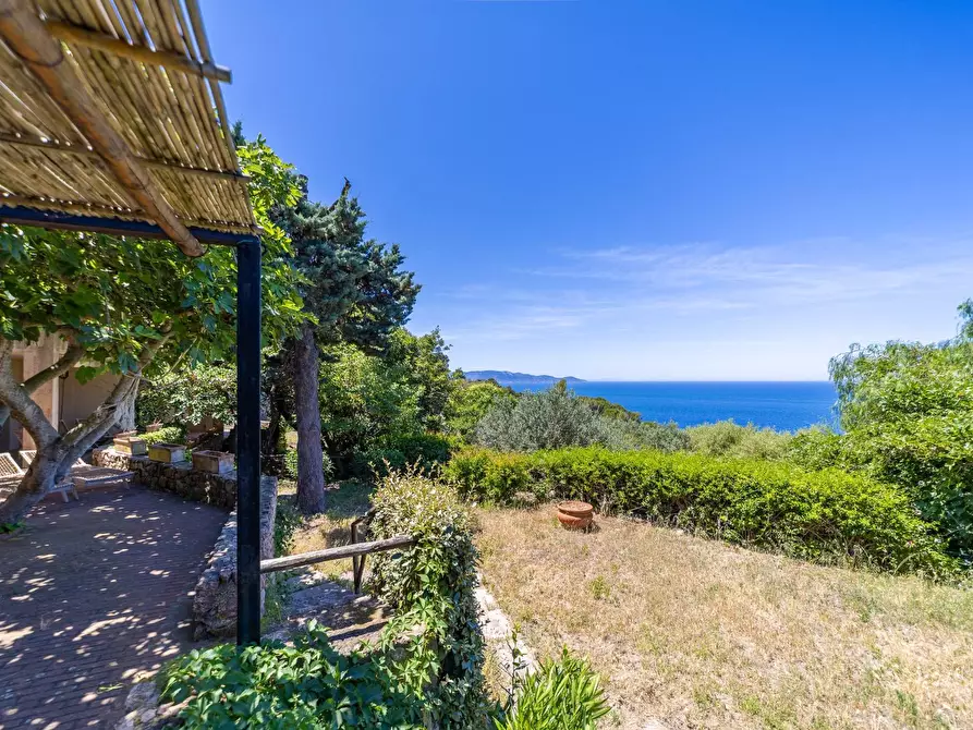 Immagine 7 di Villa in vendita  in Località Cala Moresca snc a Monte Argentario