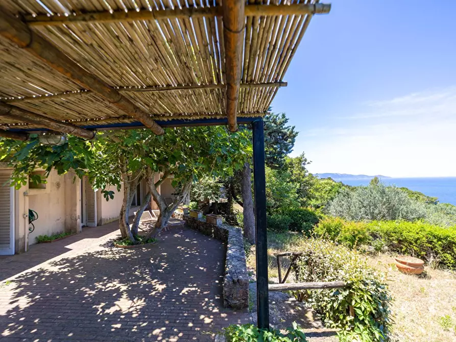 Immagine 8 di Villa in vendita  in Località Cala Moresca snc a Monte Argentario
