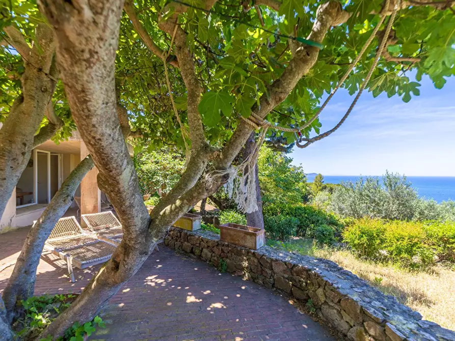 Immagine 5 di Villa in vendita  in Località Cala Moresca snc a Monte Argentario
