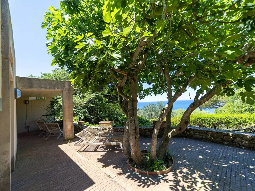 Immagine 26 di Villa in vendita  in Località Cala Moresca snc a Monte Argentario
