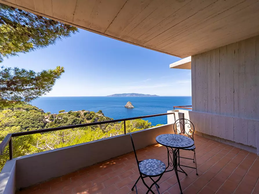 Immagine 20 di Villa in affitto  in Località Cala Moresca snc a Monte Argentario