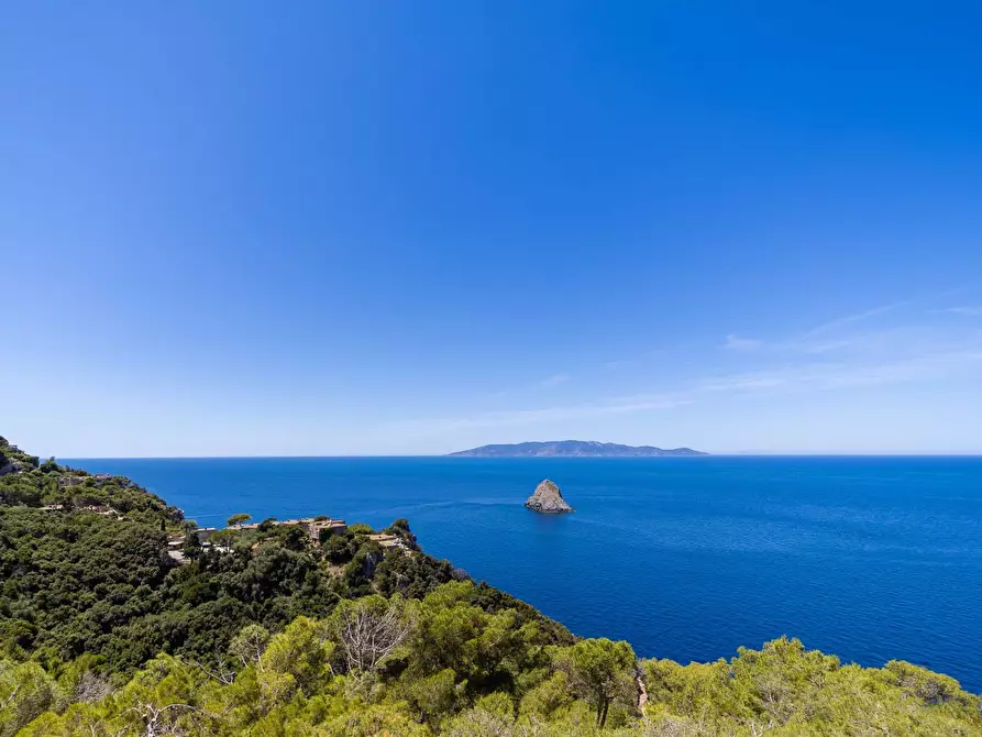 Immagine 41 di Villa in affitto  in Località Cala Moresca snc a Monte Argentario