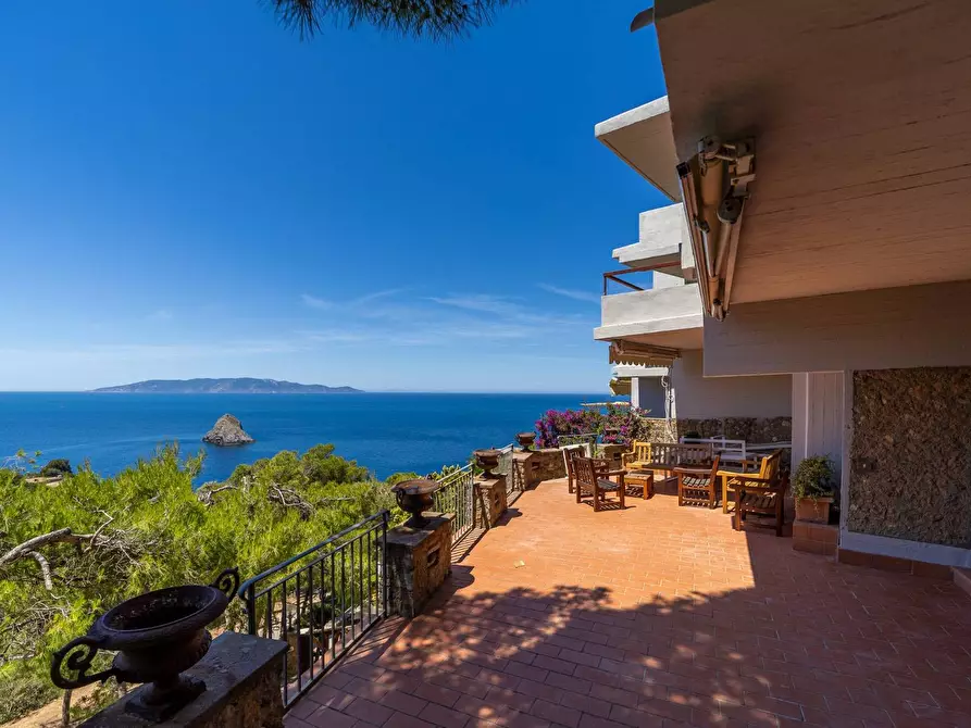 Immagine 40 di Villa in affitto  in Località Cala Moresca snc a Monte Argentario