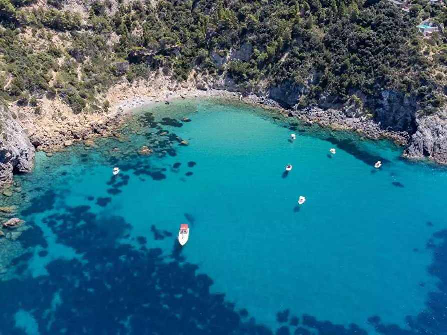 Immagine 42 di Villa in affitto  in Località Cala Moresca snc a Monte Argentario