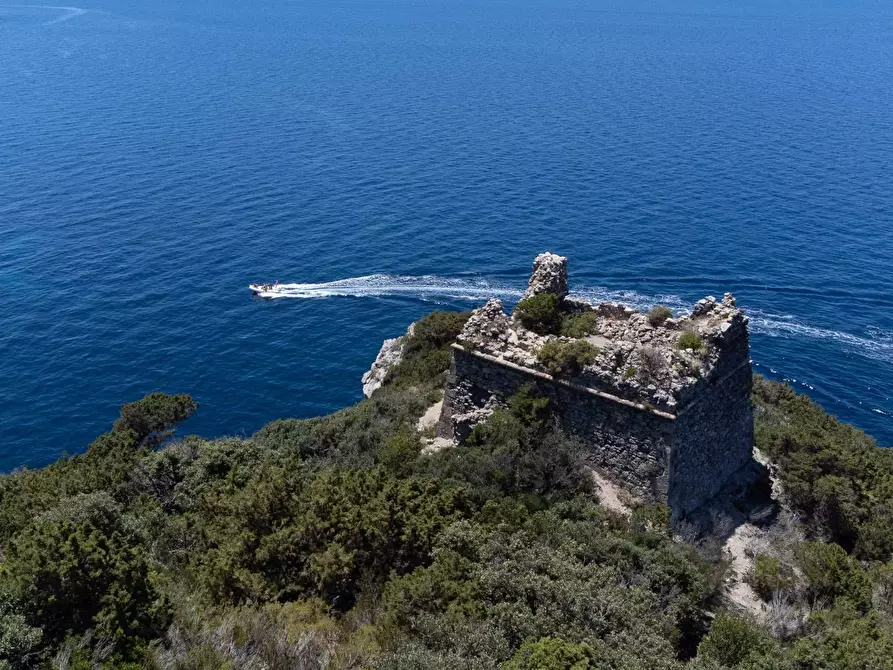 Immagine 44 di Villa in affitto  in Località Cala Moresca snc a Monte Argentario
