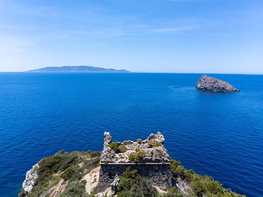 Immagine 46 di Villa in affitto  in Località Cala Moresca snc a Monte Argentario