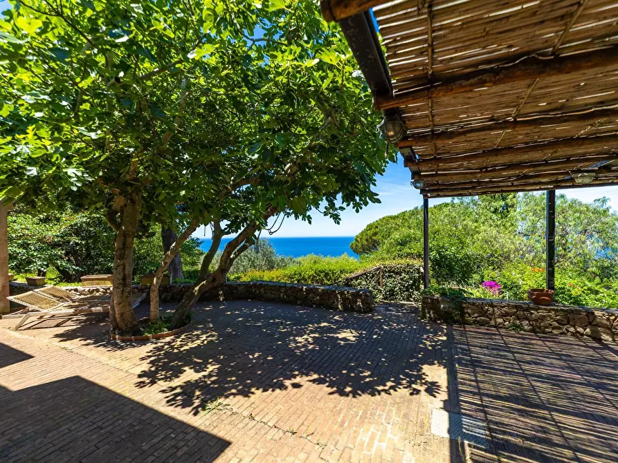 Immagine 1 di Villa in vendita  in Località Cala Moresca snc a Monte Argentario