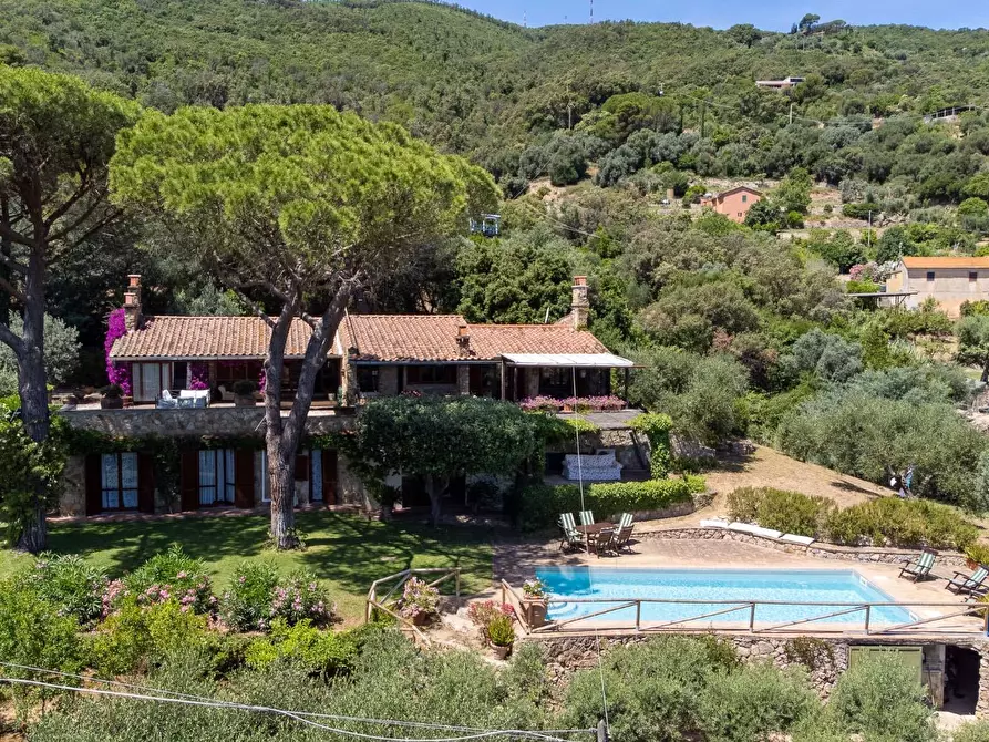 Immagine 6 di Villa in vendita  in Località Pimpinnacolo snc a Monte Argentario