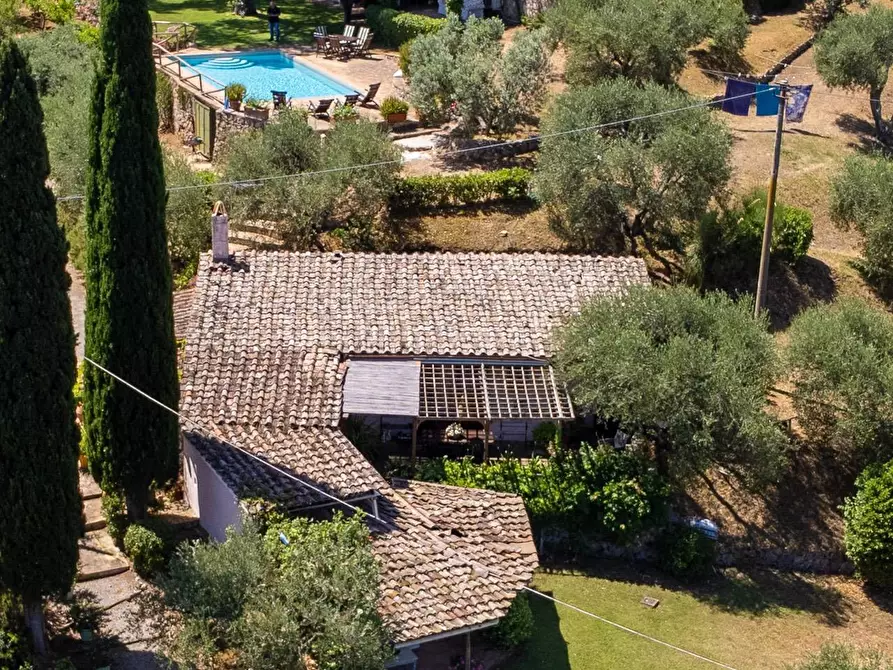 Immagine 4 di Villa in vendita  in Località Pimpinnacolo snc a Monte Argentario