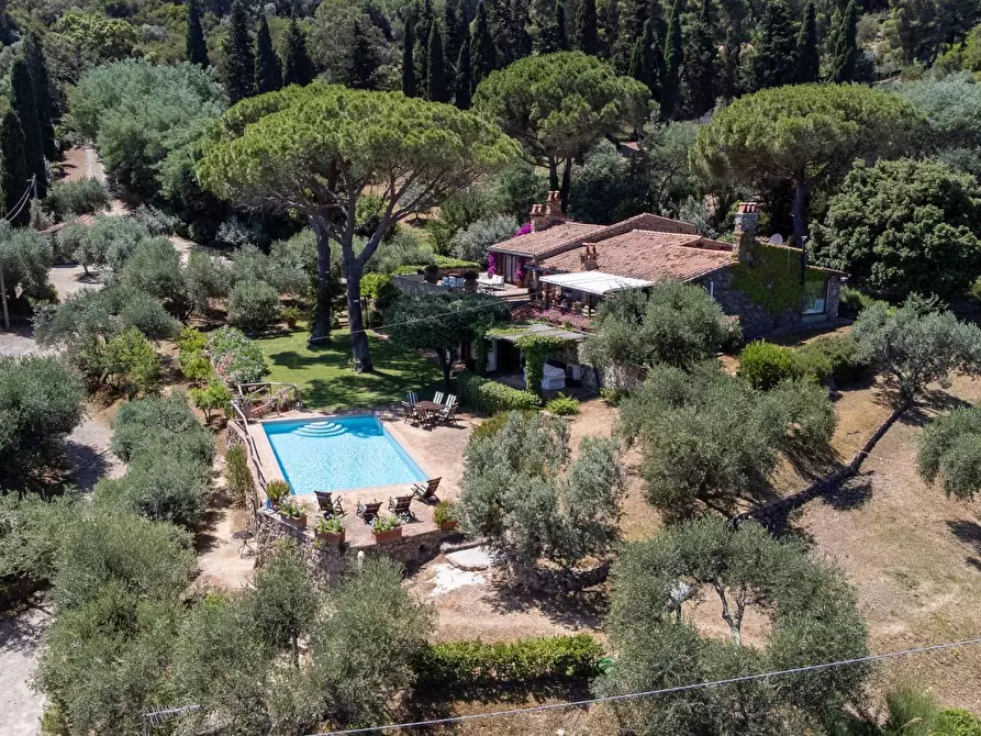Immagine 3 di Villa in vendita  in Località Pimpinnacolo snc a Monte Argentario