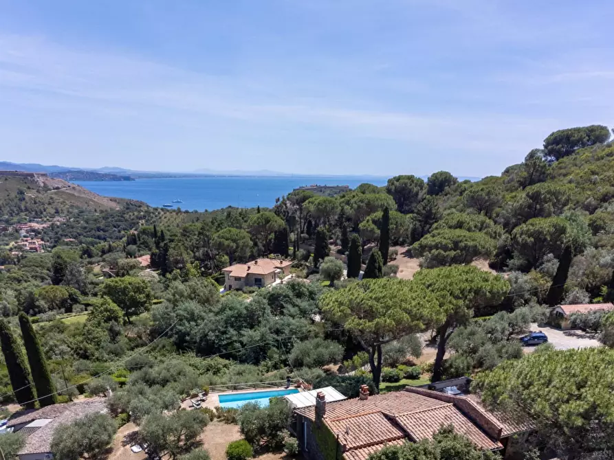 Immagine 76 di Villa in vendita  in Località Pimpinnacolo snc a Monte Argentario