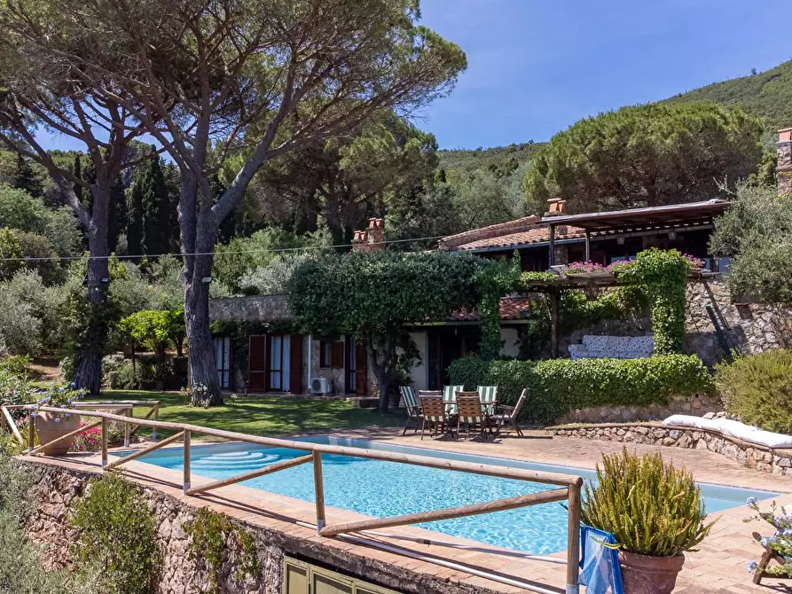 Immagine 5 di Villa in vendita  in Località Pimpinnacolo snc a Monte Argentario