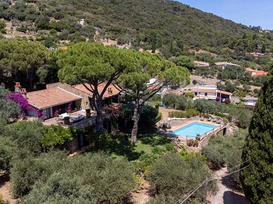 Immagine 75 di Villa in vendita  in Località Pimpinnacolo snc a Monte Argentario