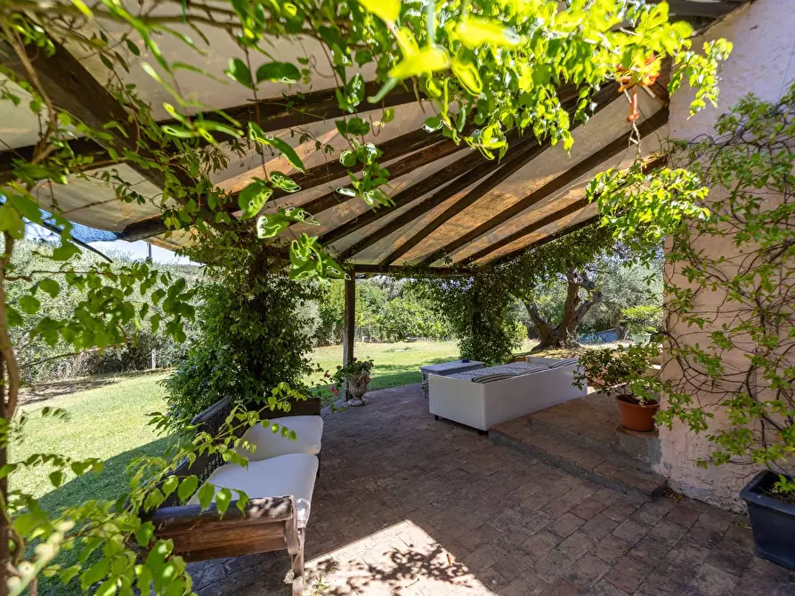 Immagine 70 di Villa in vendita  in Località Pimpinnacolo snc a Monte Argentario