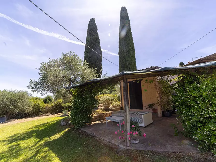 Immagine 66 di Villa in vendita  in Località Pimpinnacolo snc a Monte Argentario
