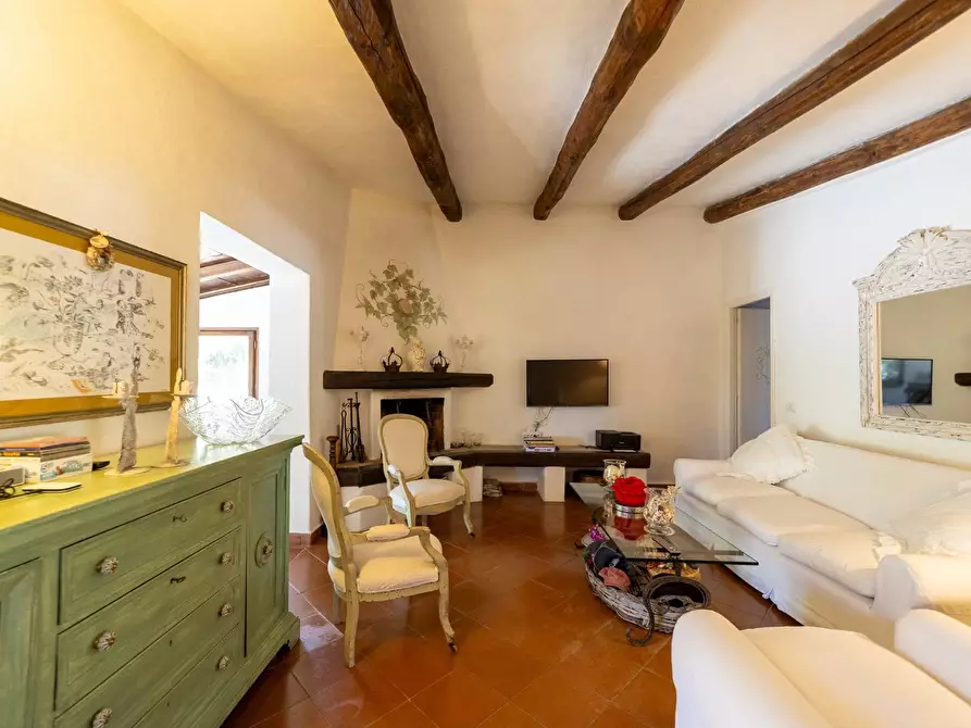 Immagine 55 di Villa in vendita  in Località Pimpinnacolo snc a Monte Argentario