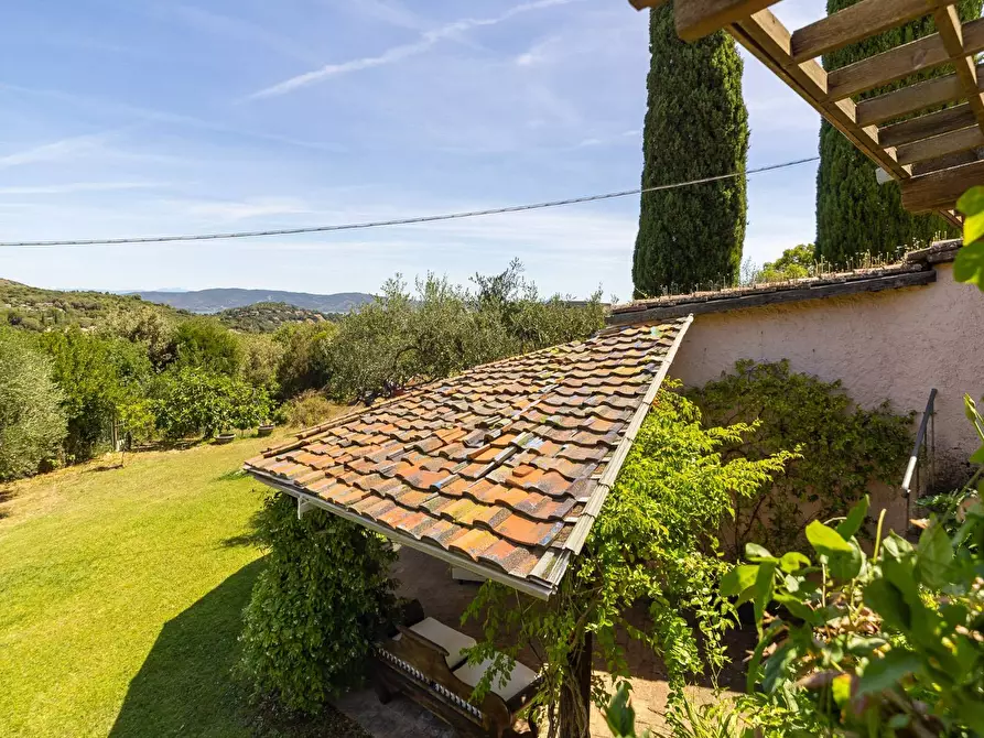 Immagine 65 di Villa in vendita  in Località Pimpinnacolo snc a Monte Argentario