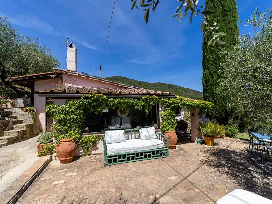 Immagine 51 di Villa in vendita  in Località Pimpinnacolo snc a Monte Argentario