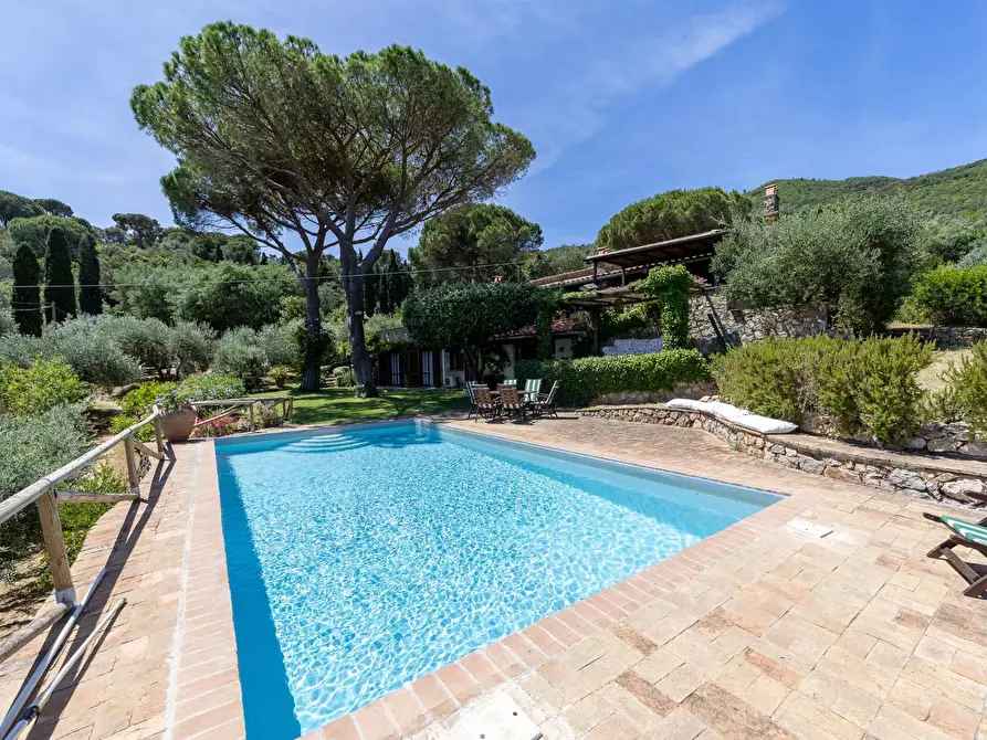Immagine 73 di Villa in vendita  in Località Pimpinnacolo snc a Monte Argentario