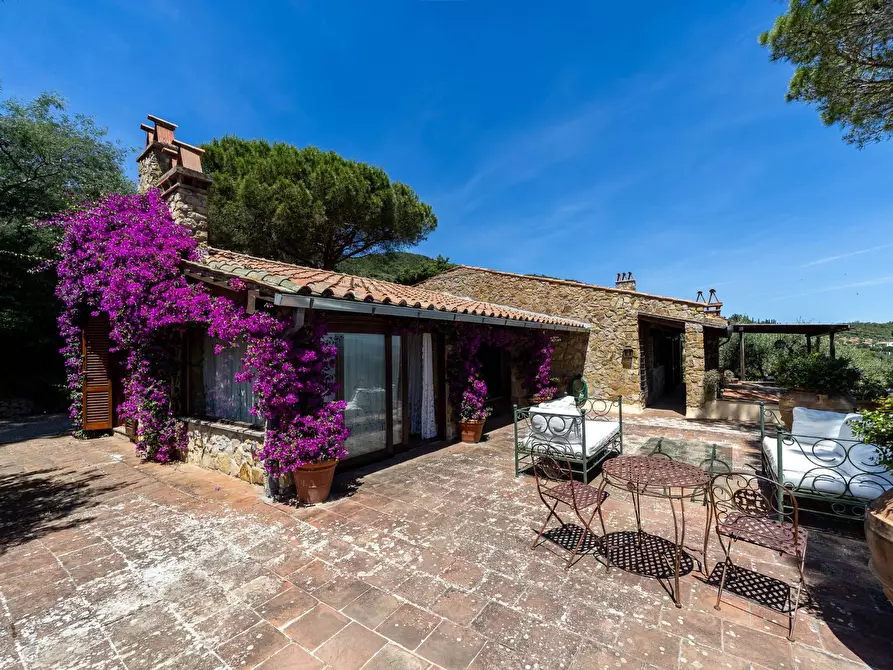 Immagine 40 di Villa in vendita  in Località Pimpinnacolo snc a Monte Argentario