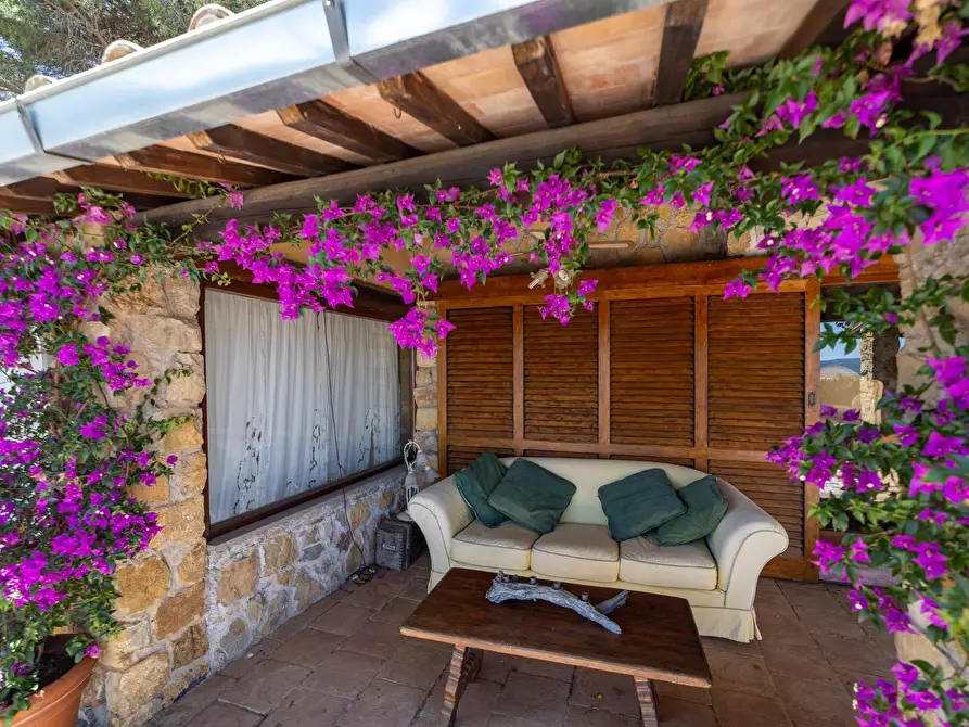 Immagine 42 di Villa in vendita  in Località Pimpinnacolo snc a Monte Argentario