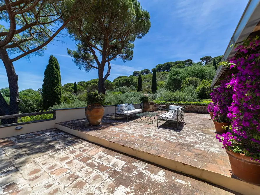 Immagine 44 di Villa in vendita  in Località Pimpinnacolo snc a Monte Argentario