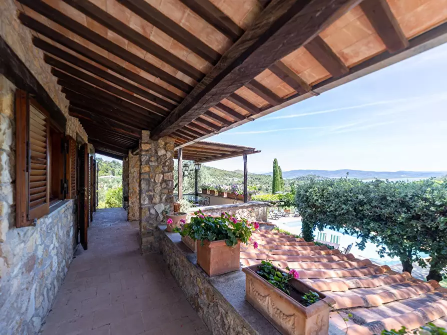 Immagine 46 di Villa in vendita  in Località Pimpinnacolo snc a Monte Argentario