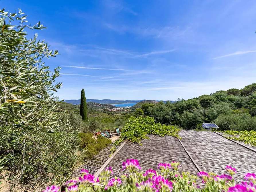 Immagine 71 di Villa in vendita  in Località Pimpinnacolo snc a Monte Argentario