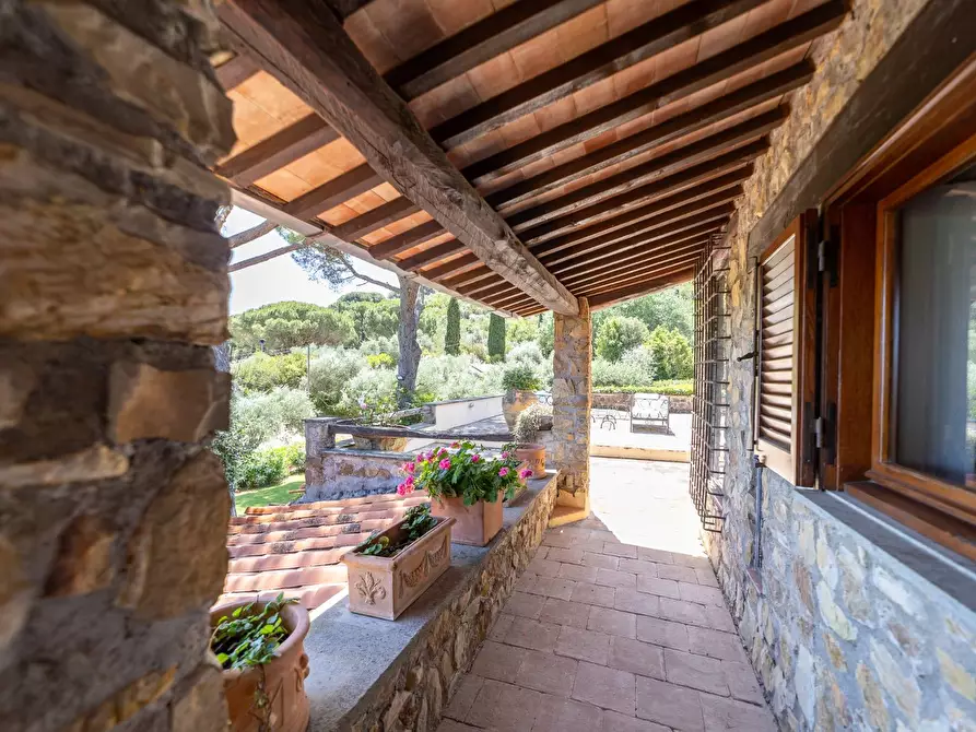 Immagine 48 di Villa in vendita  in Località Pimpinnacolo snc a Monte Argentario