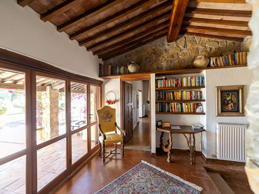 Immagine 9 di Villa in vendita  in Località Pimpinnacolo snc a Monte Argentario