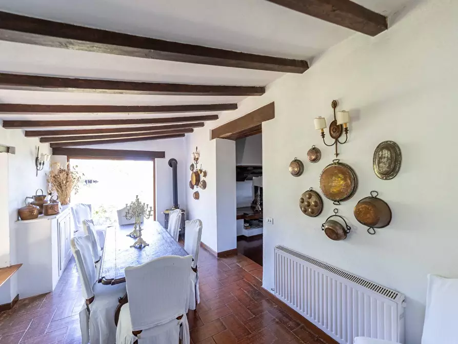 Immagine 22 di Villa in vendita  in Località Pimpinnacolo snc a Monte Argentario