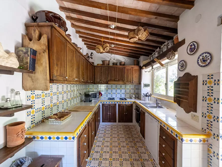 Immagine 21 di Villa in vendita  in Località Pimpinnacolo snc a Monte Argentario