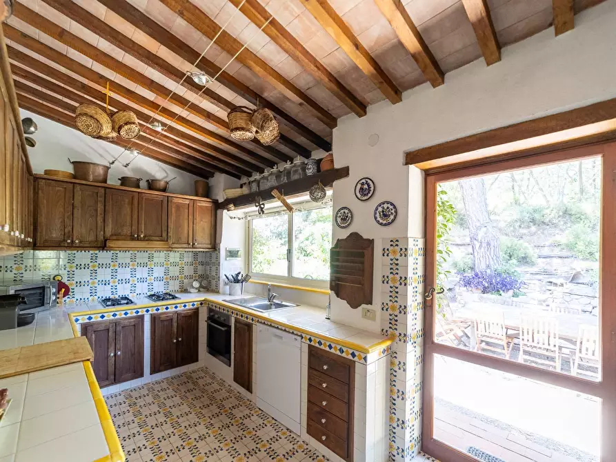 Immagine 20 di Villa in vendita  in Località Pimpinnacolo snc a Monte Argentario