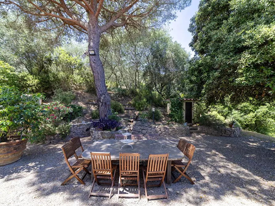 Immagine 49 di Villa in vendita  in Località Pimpinnacolo snc a Monte Argentario