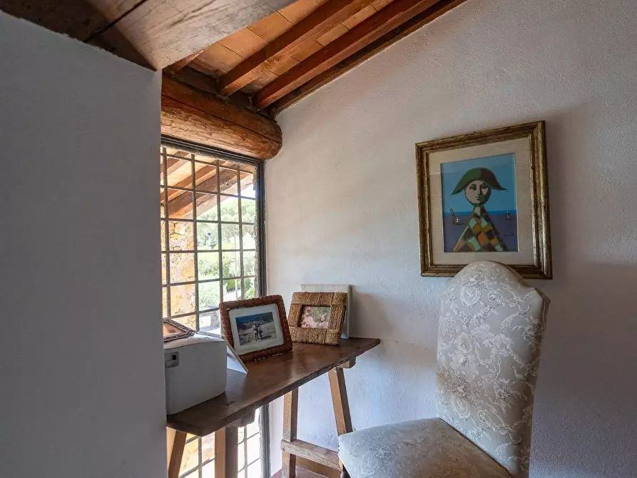 Immagine 14 di Villa in vendita  in Località Pimpinnacolo snc a Monte Argentario