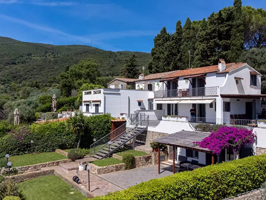 Immagine 2 di Villa in vendita  in Località Mandrioli snc a Monte Argentario