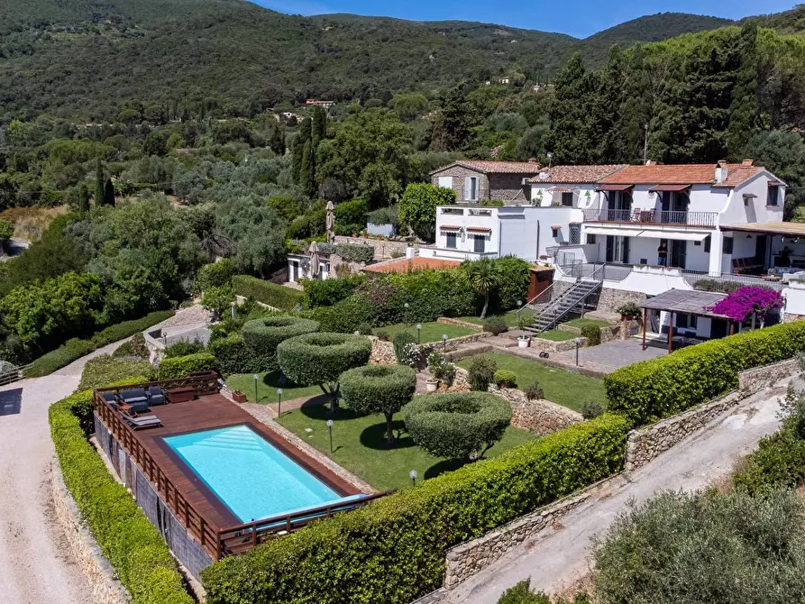 Immagine 8 di Villa in vendita  in Località Mandrioli snc a Monte Argentario