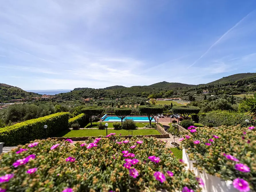 Immagine 34 di Villa in vendita  in Località Mandrioli snc a Monte Argentario