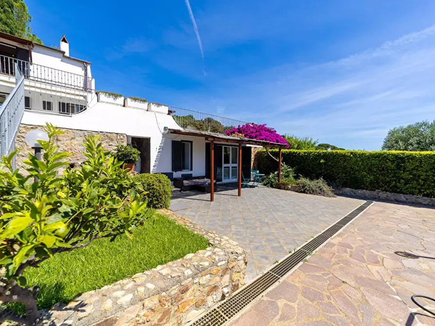Immagine 36 di Villa in vendita  in Località Mandrioli snc a Monte Argentario