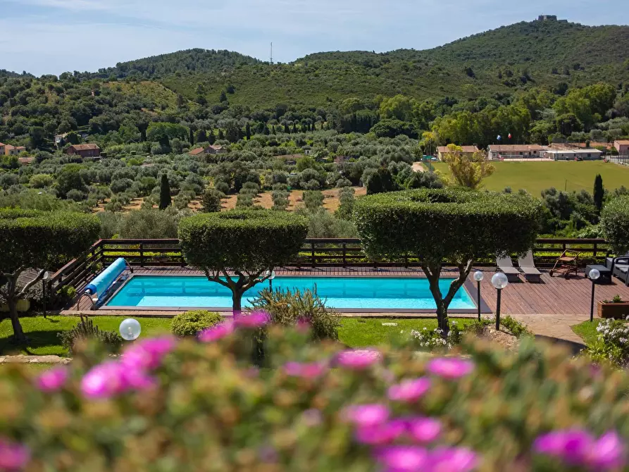 Immagine 50 di Villa in vendita  in Località Mandrioli snc a Monte Argentario