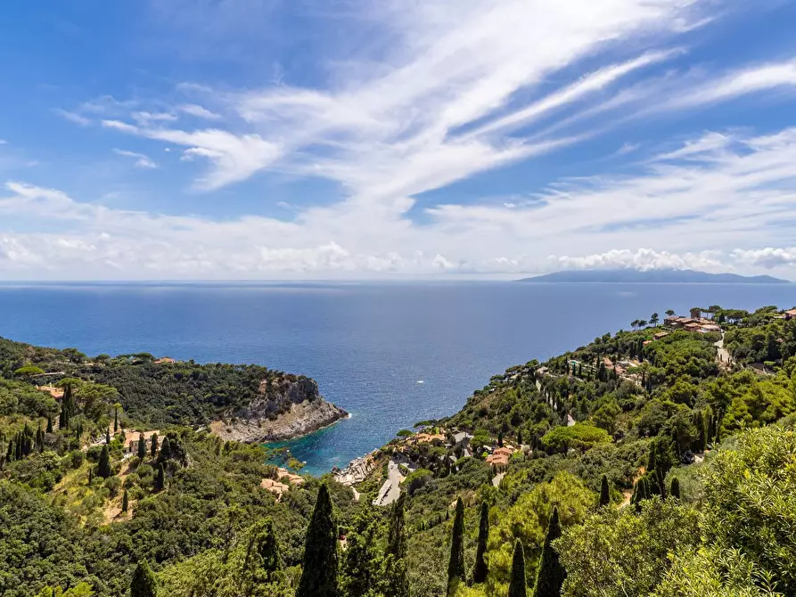 Immagine 3 di Appartamento in affitto  in Località Cala Piccola snc a Monte Argentario