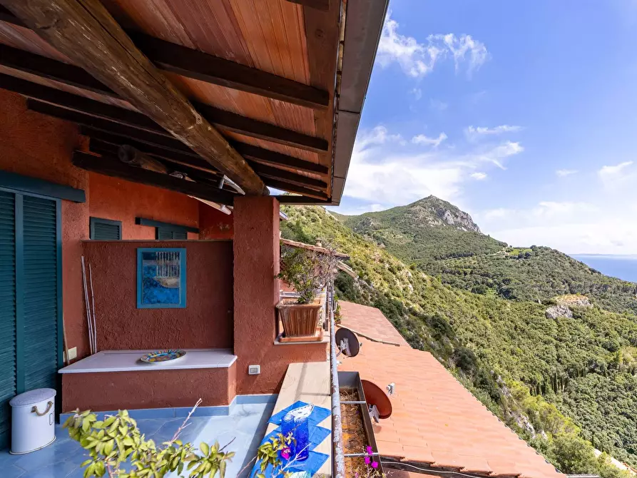 Immagine 20 di Appartamento in affitto  in Località Cala Piccola snc a Monte Argentario