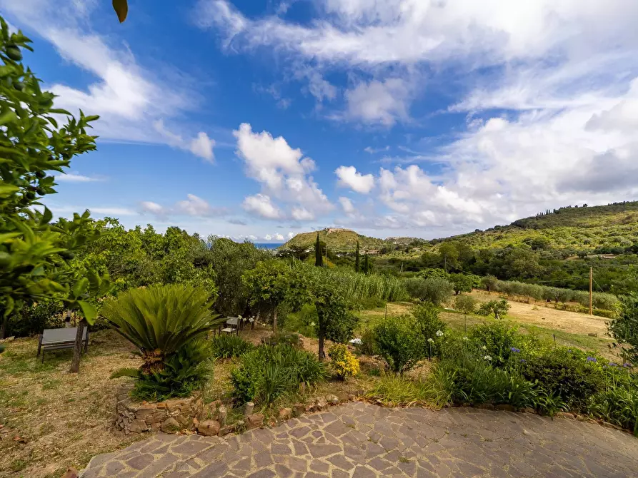 Immagine 2 di Villa in affitto  in località aquilino snc a Monte Argentario
