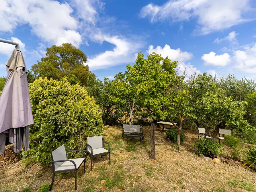 Immagine 3 di Villa in affitto  in località aquilino snc a Monte Argentario
