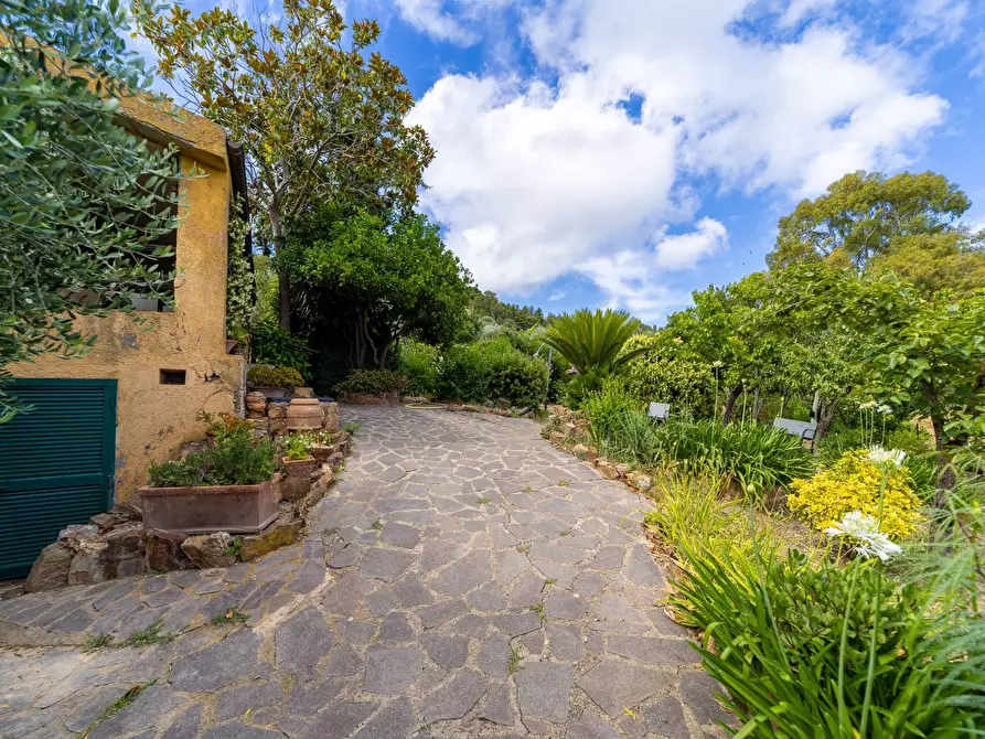 Immagine 5 di Villa in affitto  in località aquilino snc a Monte Argentario