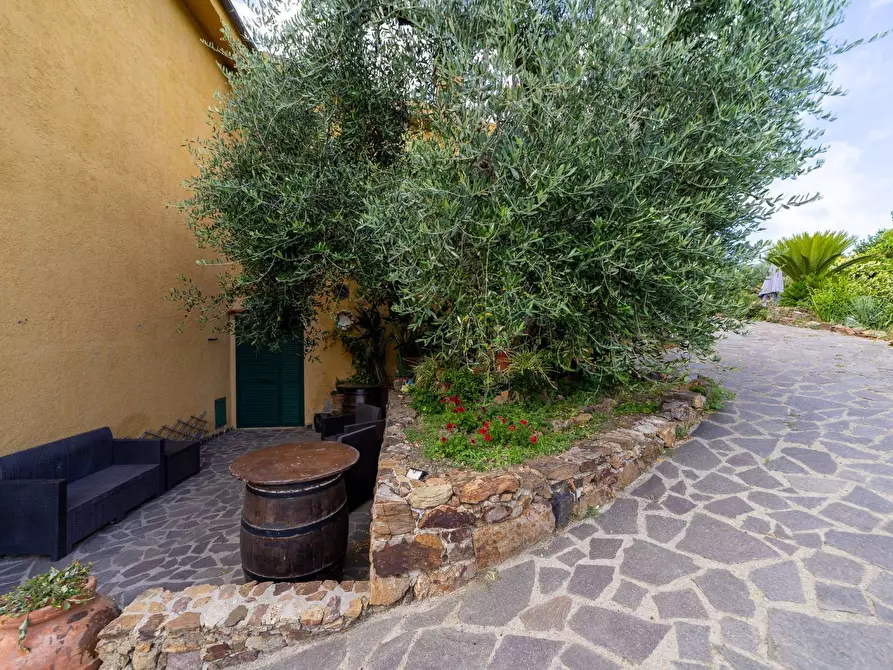 Immagine 6 di Villa in affitto  in località aquilino snc a Monte Argentario