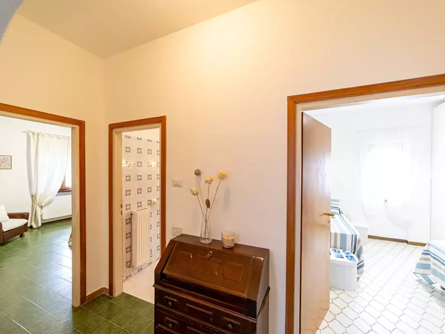 Immagine 15 di Villa in affitto  in località aquilino snc a Monte Argentario