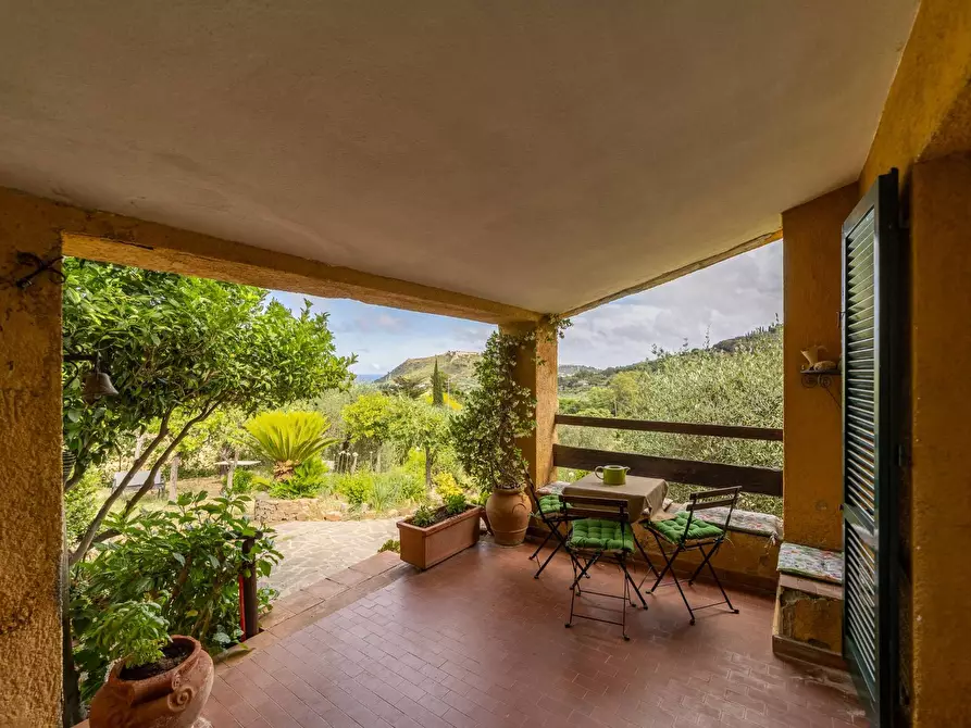 Immagine 21 di Villa in affitto  in località aquilino snc a Monte Argentario