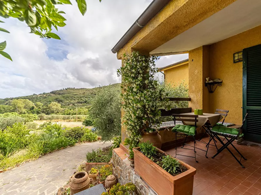 Immagine 23 di Villa in affitto  in località aquilino snc a Monte Argentario