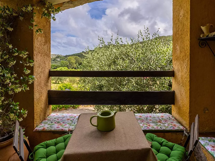 Immagine 24 di Villa in affitto  in località aquilino snc a Monte Argentario